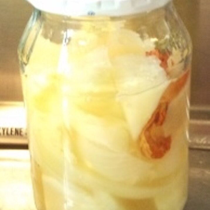 玉ねぎとキャベツの｛リンゴ酢+クエン酸｝漬け